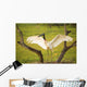 Jabiru stork spreads its wings on a nest;Pantanal brazil Wall Mural