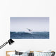 Spain, Andalusia, Cadiz, Costa de la Luz, Windsurfing Wall Mural