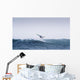 Spain, Andalusia, Cadiz, Costa de la Luz, Windsurfing Wall Mural