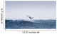 Spain, Andalusia, Cadiz, Costa de la Luz, Windsurfing Wall Mural