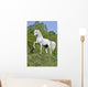 White Horse Hill