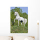 White Horse Hill