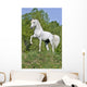White Horse Hill