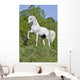 White Horse Hill