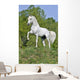 White Horse Hill