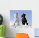 White and Black Horse