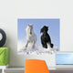 White and Black Horse