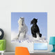White and Black Horse