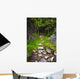 Forest path Wall Mural