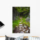Forest path Wall Mural