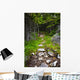 Forest path Wall Mural