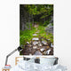Forest path Wall Mural