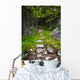 Forest path Wall Mural