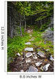 Forest path Wall Mural