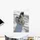 Kleiner Husky Wall Mural