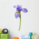 Flower Decals - Iris Wall Decal