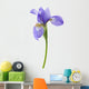 Flower Decals - Iris Wall Decal