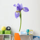 Flower Decals - Iris Wall Decal