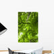Canopy Wall Mural