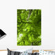 Canopy Wall Mural