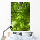 Canopy Wall Mural