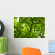 Canopy Wall Mural