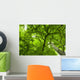 Canopy Wall Mural