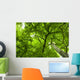Canopy Wall Mural