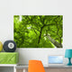 Canopy Wall Mural