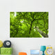 Canopy Wall Mural