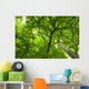 Canopy Wall Mural