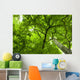 Canopy Wall Mural