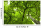 Canopy Wall Mural