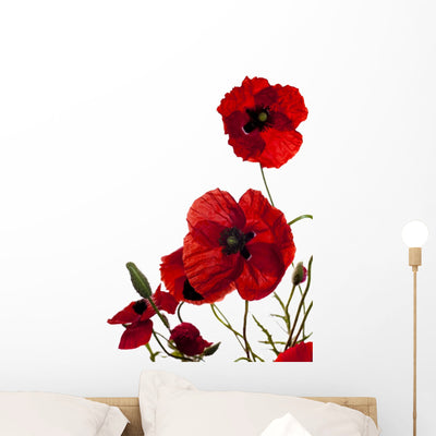 Poppy Wall Decal shown on a wall