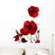 Poppy Wall Decal