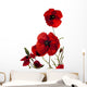 Poppy Wall Decal
