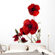 Poppy Wall Decal