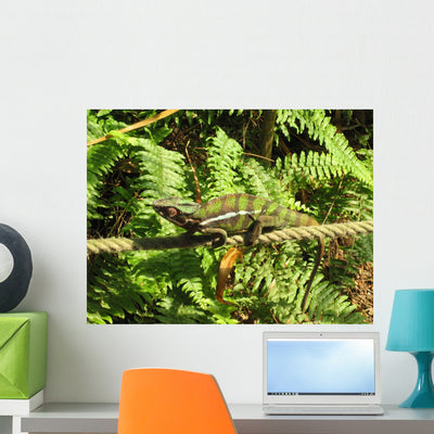 Chameleon Wall Mural shown on a wall