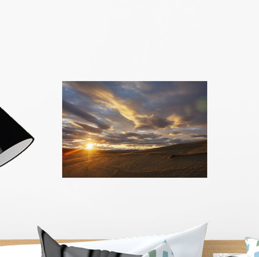 Great Kobuk Sand Dunes Wall Decal