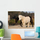Ponies Wall Mural