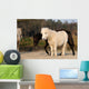 Ponies Wall Mural