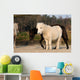 Ponies Wall Mural