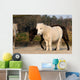 Ponies Wall Mural