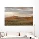The Great Kobuk Sand Dunes Under An Arctic Midnight Sunset Wall Mural