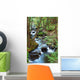 Forest Creek with Hiking Wall Mural