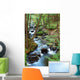 Forest Creek with Hiking Wall Mural
