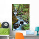 Forest Creek with Hiking Wall Mural