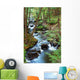 Forest Creek with Hiking Wall Mural