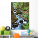 Forest Creek with Hiking Wall Mural