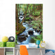Forest Creek with Hiking Wall Mural
